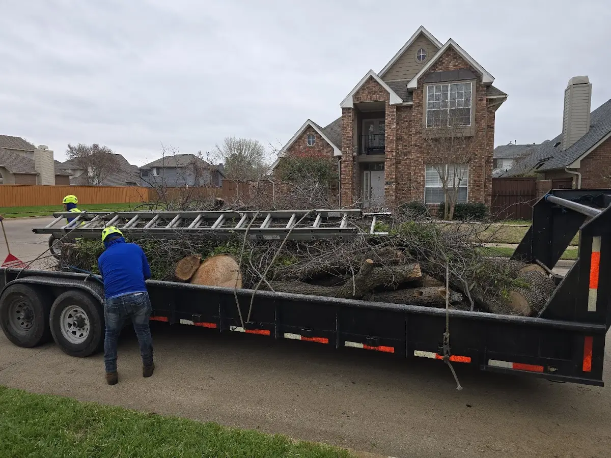 Expert Tree Fertilization with proper safety equipment in Hardwick
